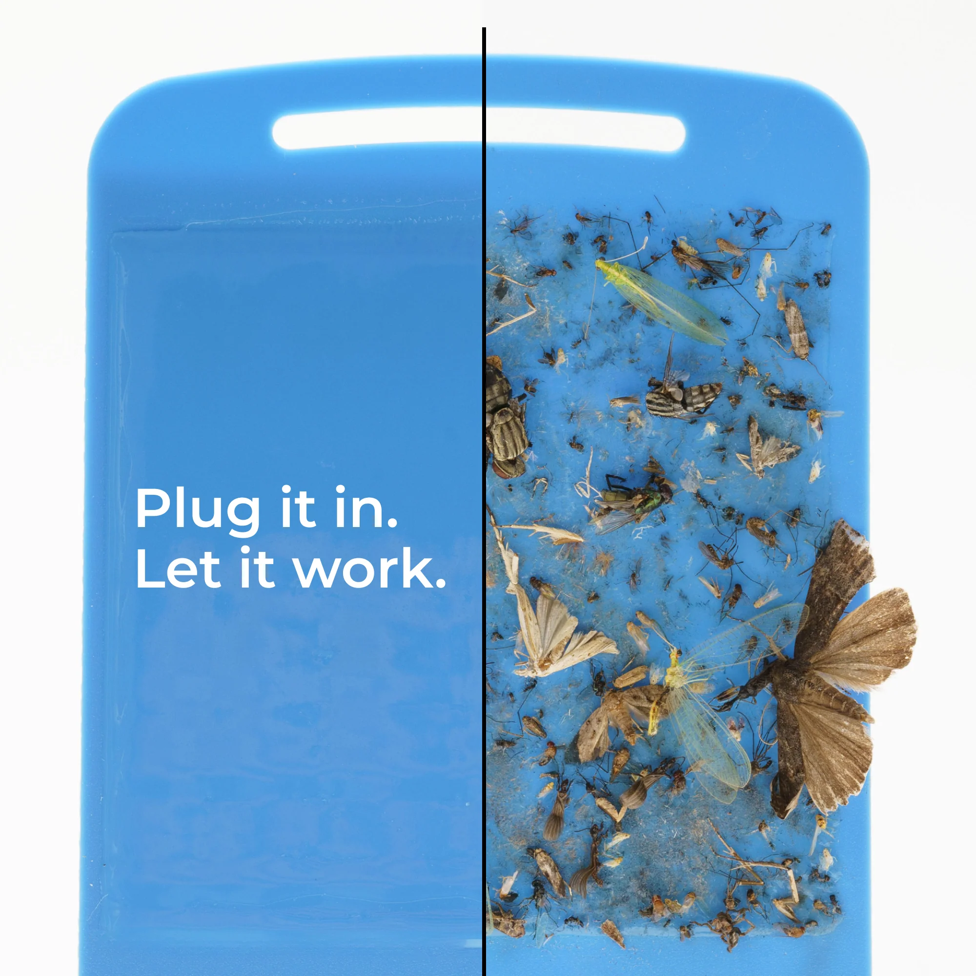 Flying Insect Trap - Image 3