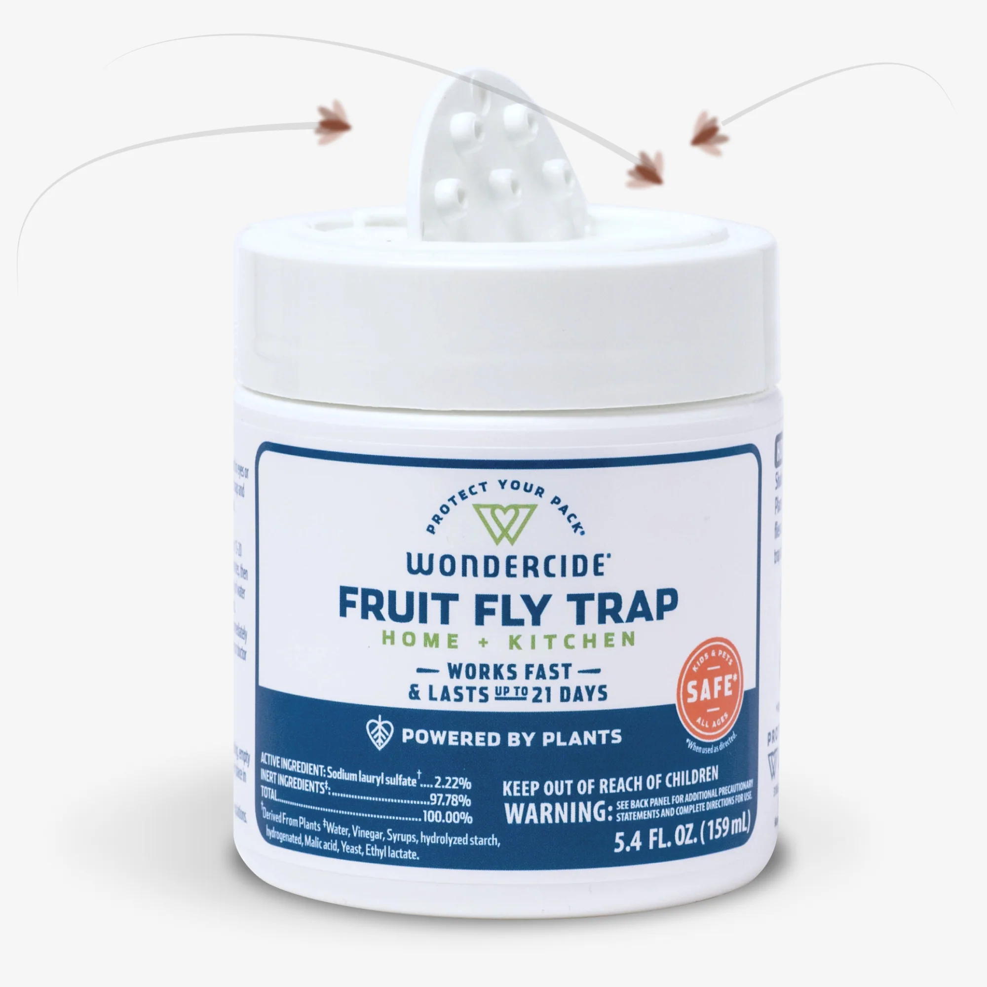Fruit Fly Trap for Home + Kitchen - Image 6
