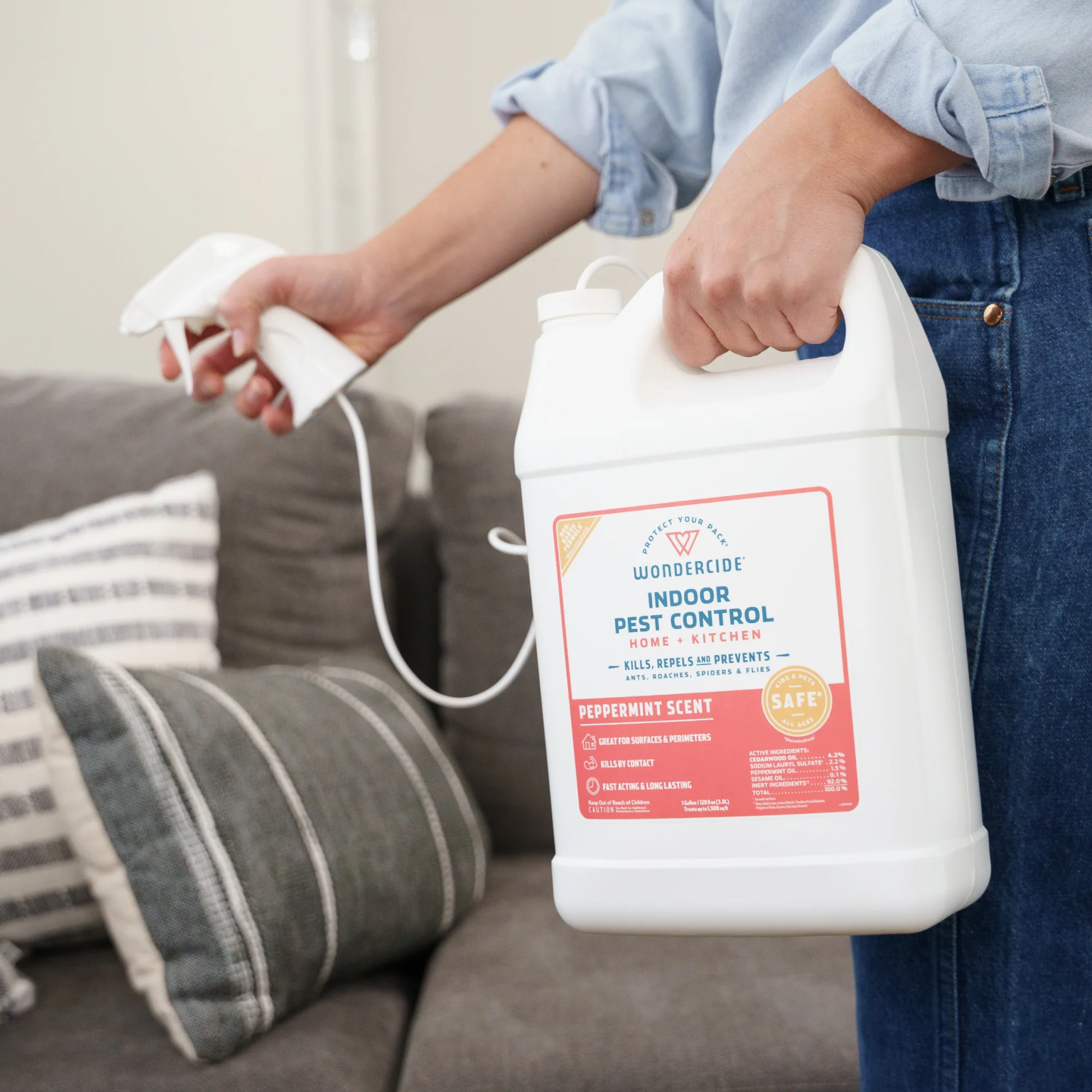 Indoor Pest Control for Home + Kitchen - Image 4