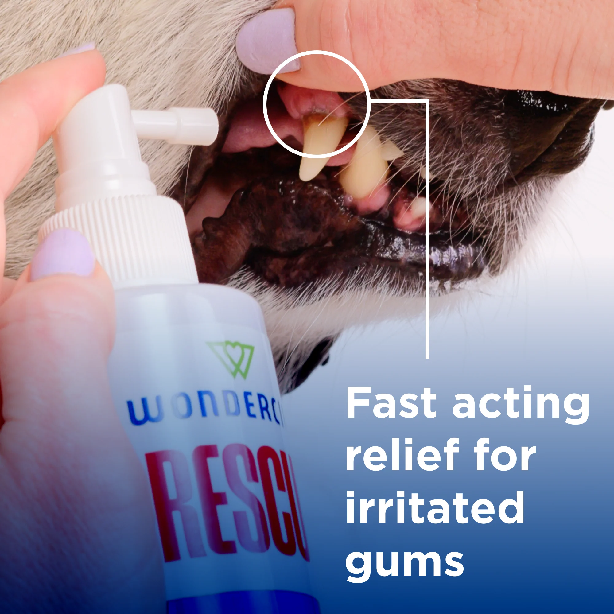 Wondercide RESCUE™ Oral Spray - Image 5