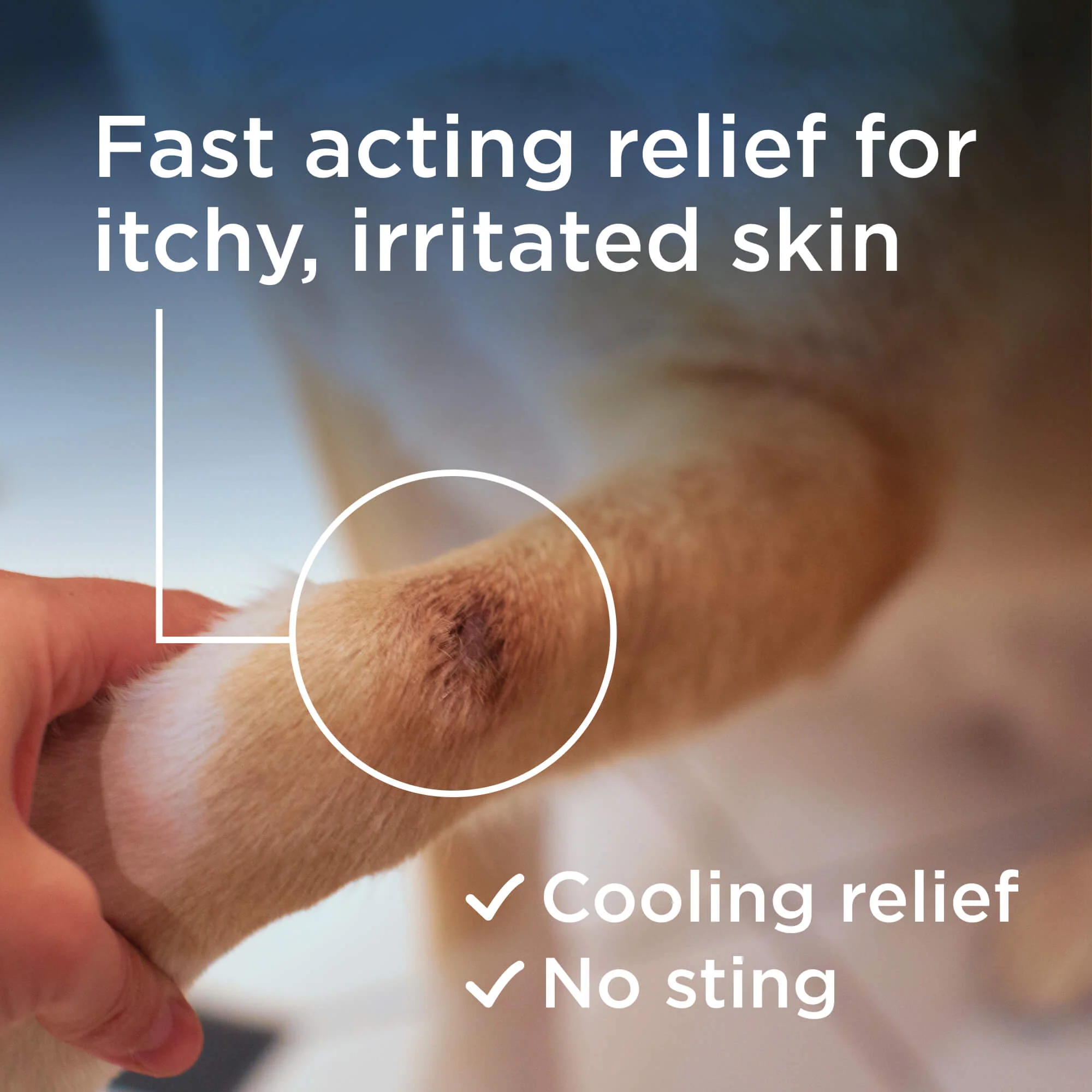 Wondercide RESCUE™ Skin Spray - Image 5