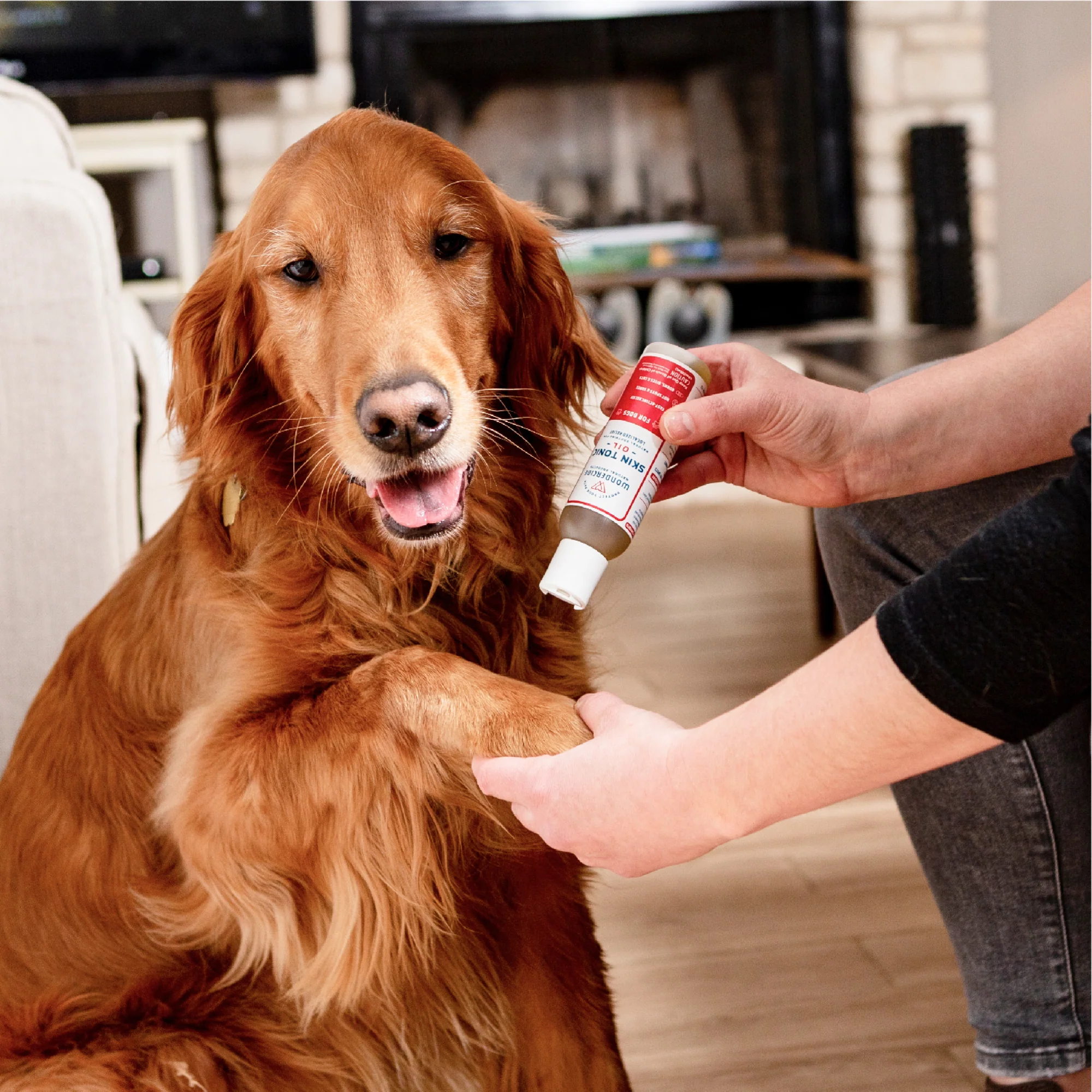 Skin Tonic Topical Oil for Dogs - Image 3
